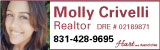 Molly Crivelli, Real Estate Agent