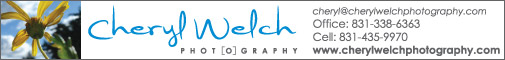 Cheryl Welch Photography